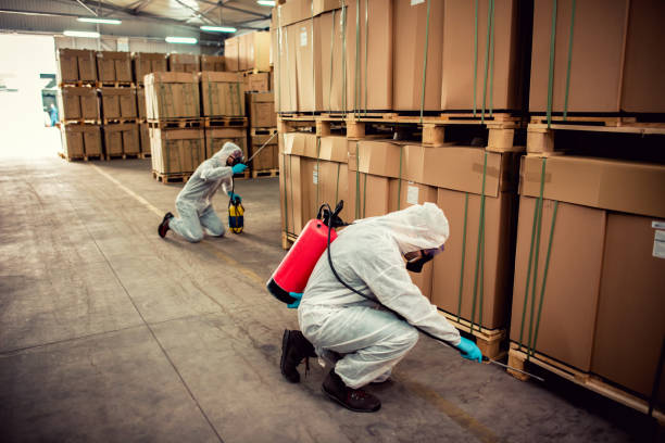 Best Affordable Pest Control Services  in Boonville, MO