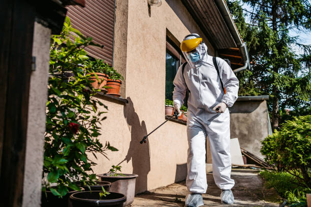 Trusted Boonville, MO Pest Control Experts