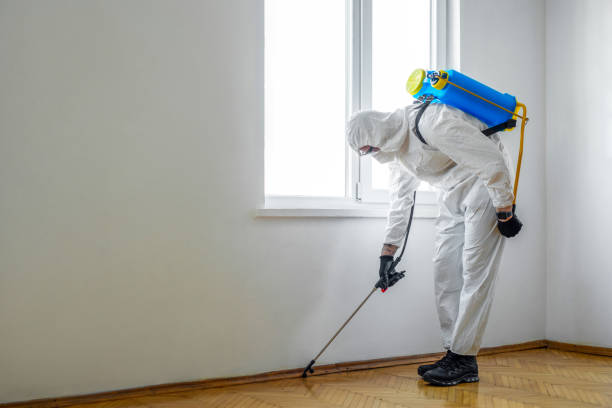 Best Mosquito Control Services  in Boonville, MO