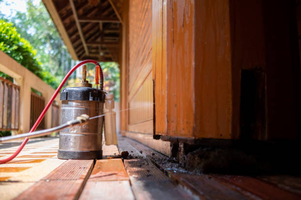 Best Cockroach Control Services  in Boonville, MO