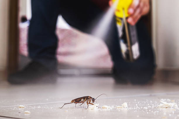 Best Pest Prevention Services  in Boonville, MO